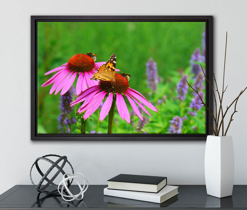 Schmetterling auf Blüte auf Leinwandbild gerahmt mit Kirschblüten