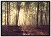 Waldlichtung im Sonnenschein auf Leinwandbild gerahmt Größe 100x70