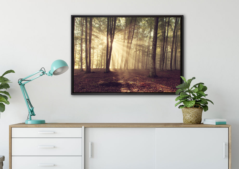 Waldlichtung im Sonnenschein auf Leinwandbild gerahmt verschiedene Größen im Wohnzimmer