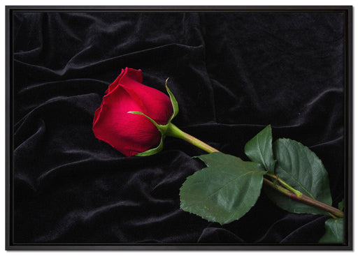 Rose auf Leinwandbild gerahmt Größe 100x70