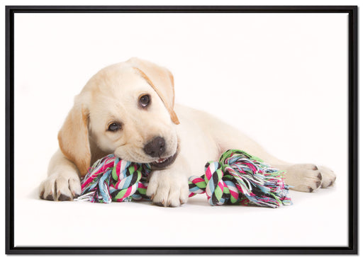 Hundewelpe auf Leinwandbild gerahmt Größe 100x70