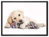 Hundewelpe auf Leinwandbild gerahmt Größe 80x60