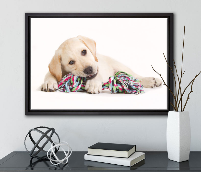 Hundewelpe auf Leinwandbild gerahmt mit Kirschblüten