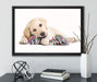 Hundewelpe auf Leinwandbild gerahmt mit Kirschblüten