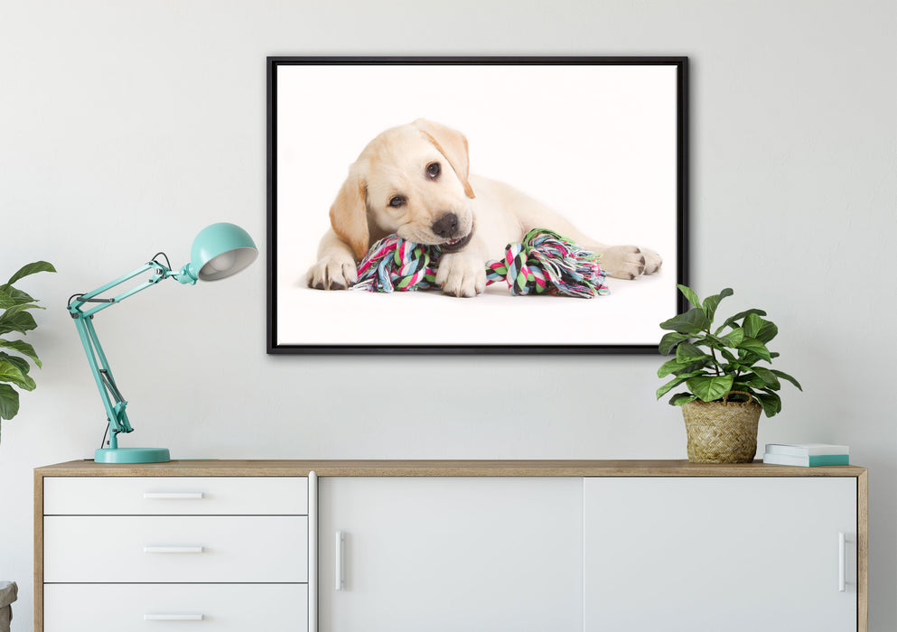 Hundewelpe auf Leinwandbild gerahmt verschiedene Größen im Wohnzimmer