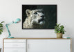 Leopard auf Leinwandbild gerahmt verschiedene Größen im Wohnzimmer