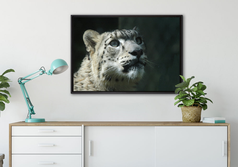 Leopard auf Leinwandbild gerahmt verschiedene Größen im Wohnzimmer