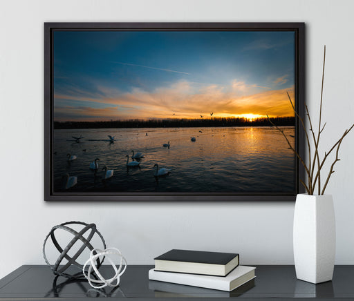 Schwäne im Sonnenuntergang auf Leinwandbild gerahmt mit Kirschblüten