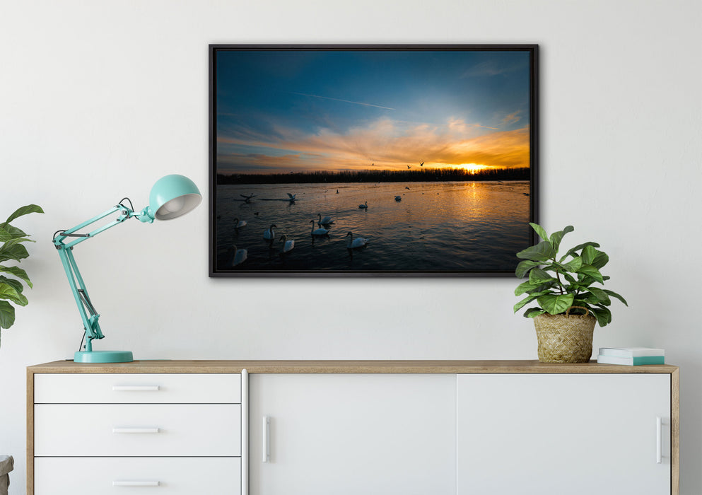 Schwäne im Sonnenuntergang auf Leinwandbild gerahmt verschiedene Größen im Wohnzimmer