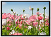 Blumenwiese Mohnblumen auf Leinwandbild gerahmt Größe 100x70