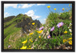 Blumenwiese im Frühling auf Leinwandbild gerahmt Größe 60x40