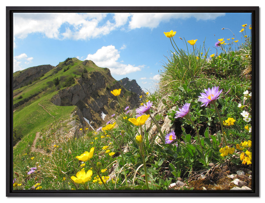 Blumenwiese im Frühling auf Leinwandbild gerahmt Größe 80x60