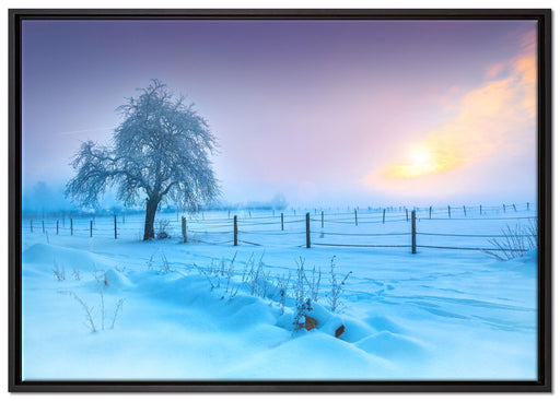 Baum in Winterlandschaft auf Leinwandbild gerahmt Größe 100x70