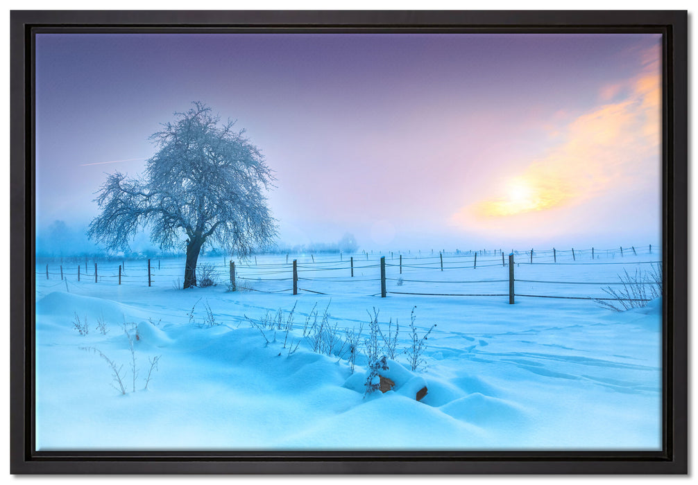 Baum in Winterlandschaft auf Leinwandbild gerahmt Größe 60x40