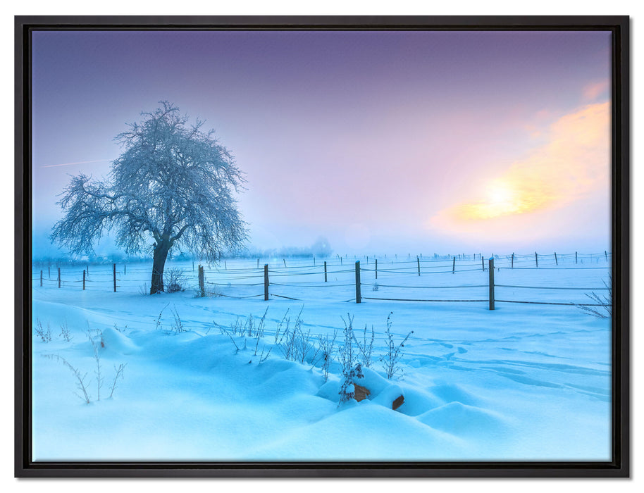 Baum in Winterlandschaft auf Leinwandbild gerahmt Größe 80x60