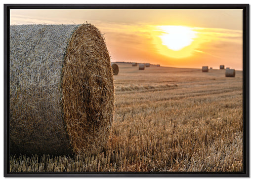 Strohballen auf Feld auf Leinwandbild gerahmt Größe 100x70