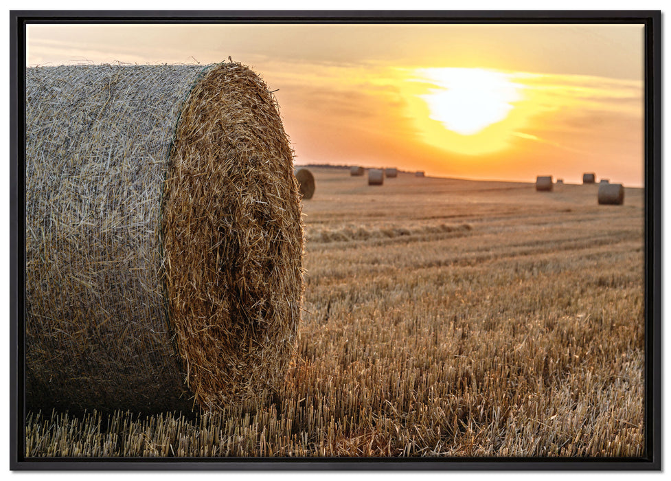Strohballen auf Feld auf Leinwandbild gerahmt Größe 100x70