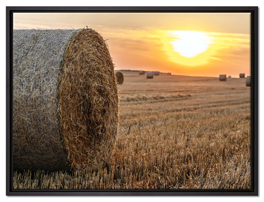 Strohballen auf Feld auf Leinwandbild gerahmt Größe 80x60