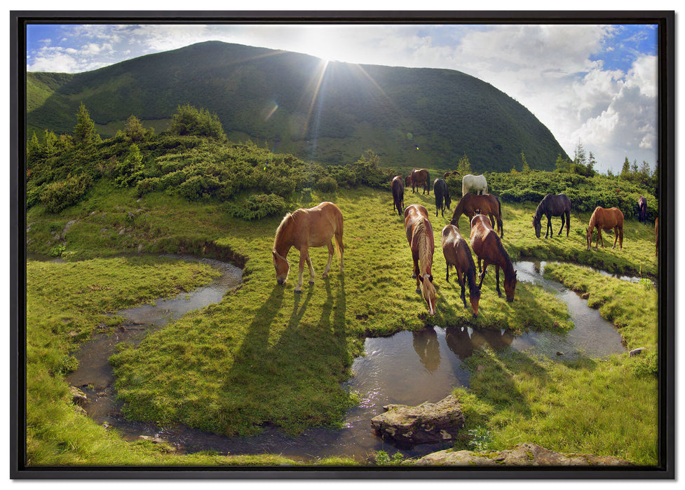 Pferde auf Wiese auf Leinwandbild gerahmt Größe 100x70