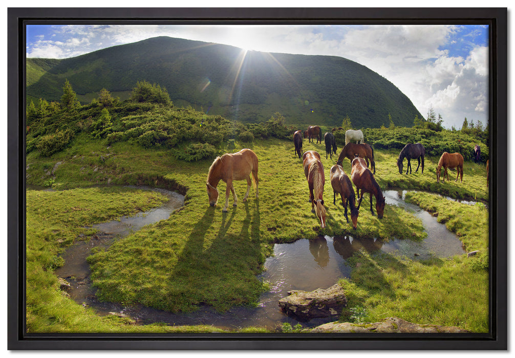 Pferde auf Wiese auf Leinwandbild gerahmt Größe 60x40