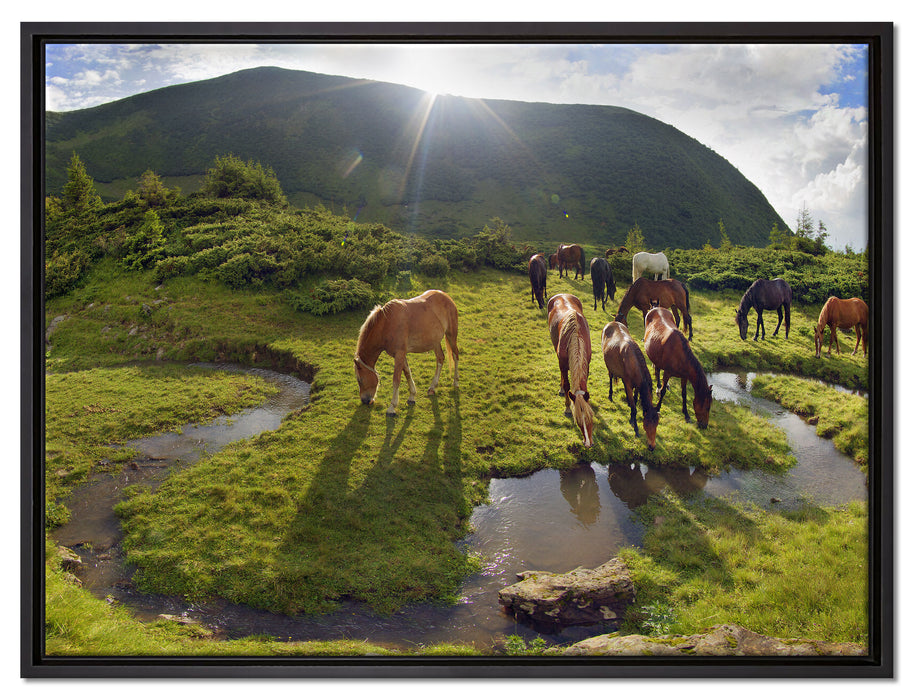 Pferde auf Wiese auf Leinwandbild gerahmt Größe 80x60