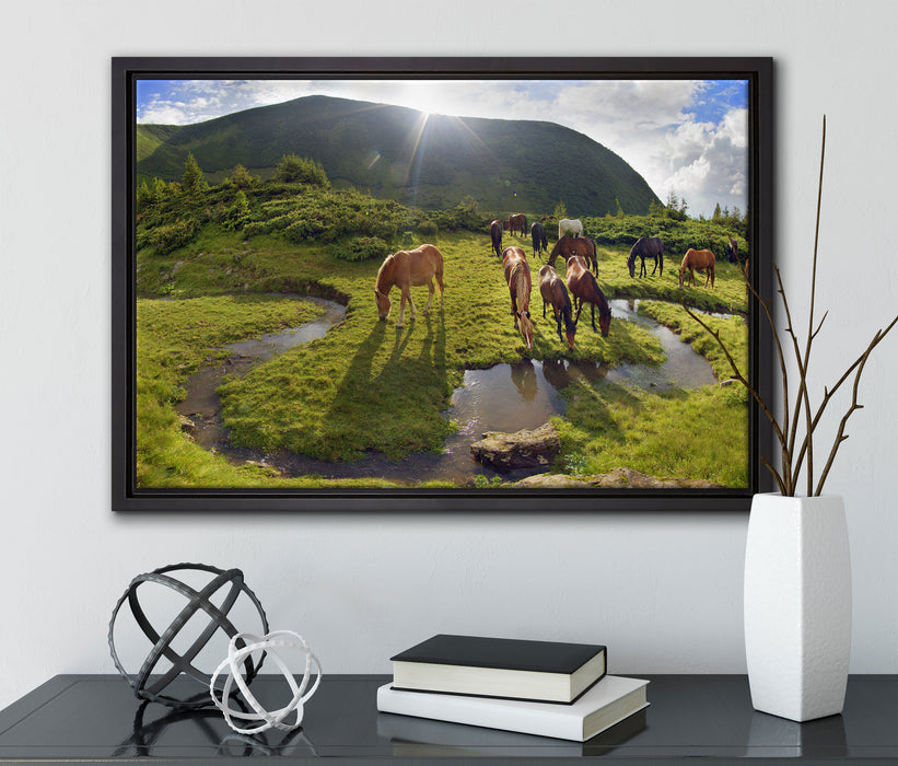 Pferde auf Wiese auf Leinwandbild gerahmt mit Kirschblüten