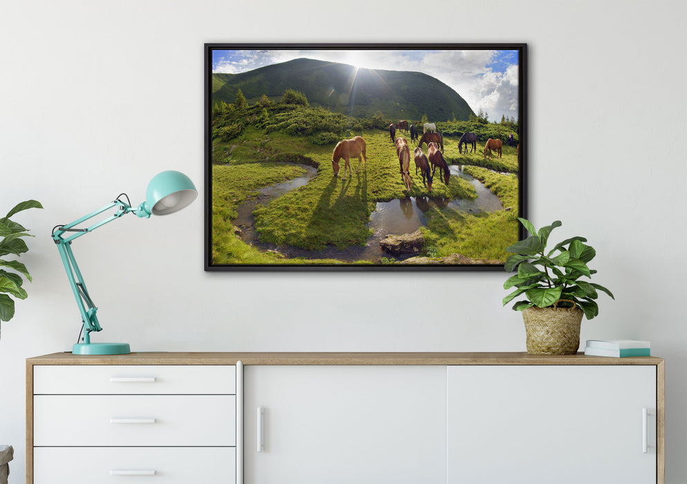 Pferde auf Wiese auf Leinwandbild gerahmt verschiedene Größen im Wohnzimmer