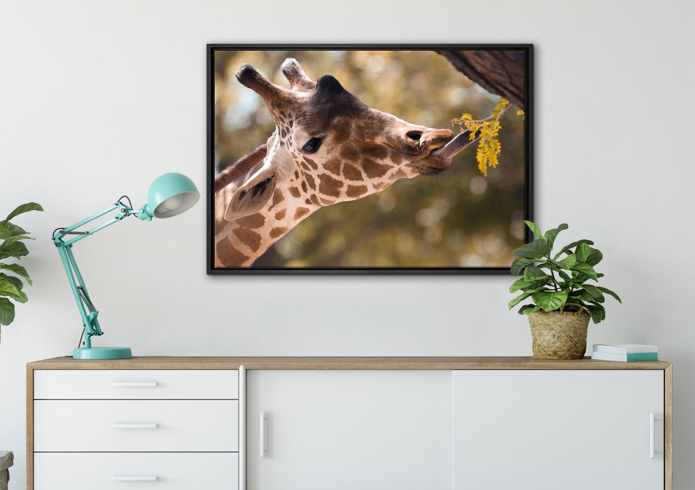 Giraffe Gesicht auf Leinwandbild gerahmt verschiedene Größen im Wohnzimmer