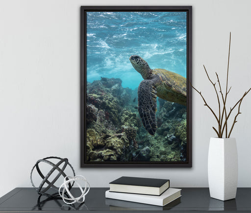 Schildkröte im Pazifik auf Leinwandbild gerahmt mit Kirschblüten