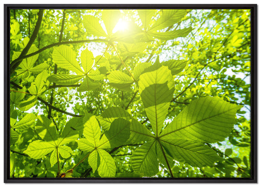 Grüne Blätter auf Leinwandbild gerahmt Größe 100x70