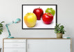 Bunte Äpfel schwarzer Hintergrund auf Leinwandbild gerahmt verschiedene Größen im Wohnzimmer