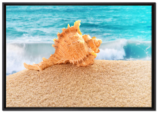 Muschel am Strand auf Leinwandbild gerahmt Größe 100x70
