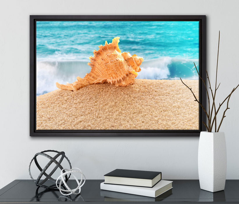 Muschel am Strand auf Leinwandbild gerahmt mit Kirschblüten