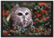 Eule im Vogelbeerenstrauch auf Leinwandbild gerahmt Größe 60x40