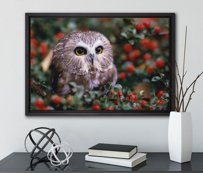 Eule im Vogelbeerenstrauch auf Leinwandbild gerahmt mit Kirschblüten