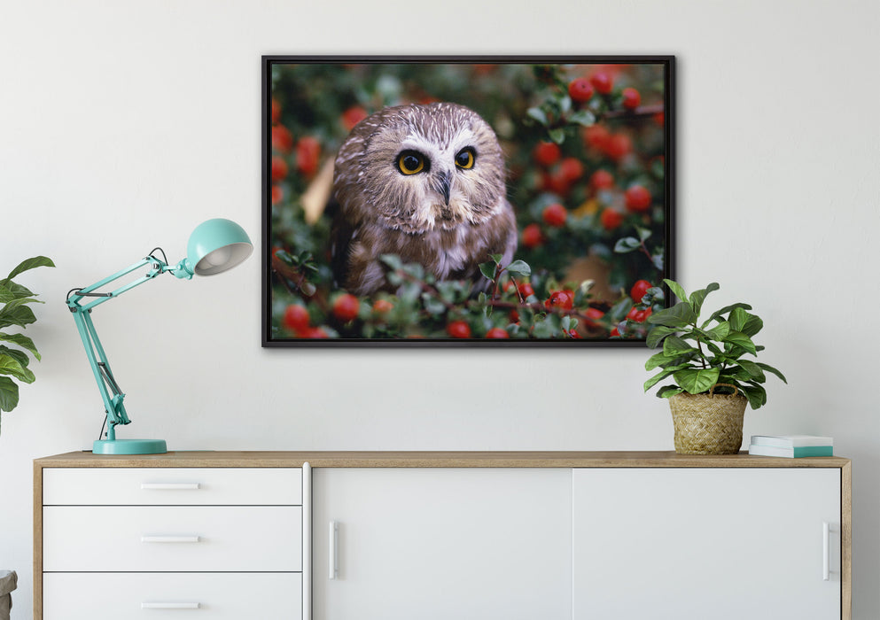 Eule im Vogelbeerenstrauch auf Leinwandbild gerahmt verschiedene Größen im Wohnzimmer