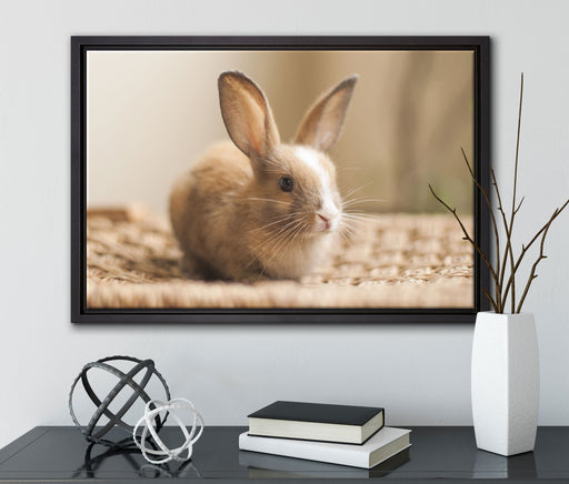Süßes Kaninchen auf Leinwandbild gerahmt mit Kirschblüten