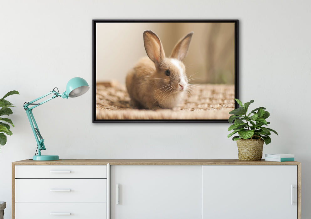 Süßes Kaninchen auf Leinwandbild gerahmt verschiedene Größen im Wohnzimmer