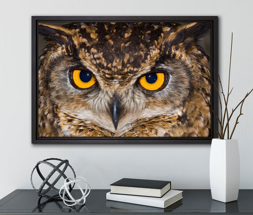 Eule mit gelben Augen auf Leinwandbild gerahmt mit Kirschblüten