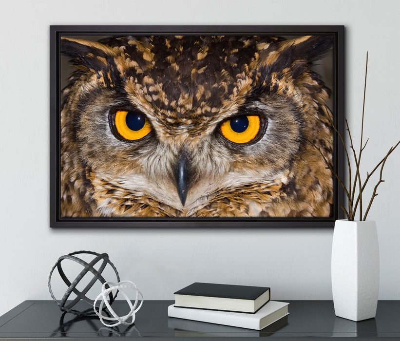 Eule mit gelben Augen auf Leinwandbild gerahmt mit Kirschblüten