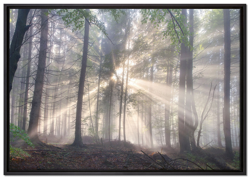 diesiger Waldweg auf Leinwandbild gerahmt Größe 100x70