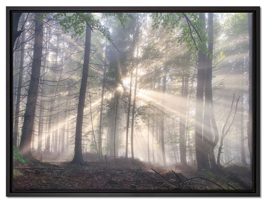 diesiger Waldweg auf Leinwandbild gerahmt Größe 80x60