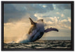 Buckelwale Kanada auf Leinwandbild gerahmt Größe 60x40