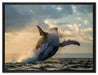 Buckelwale Kanada auf Leinwandbild gerahmt Größe 80x60