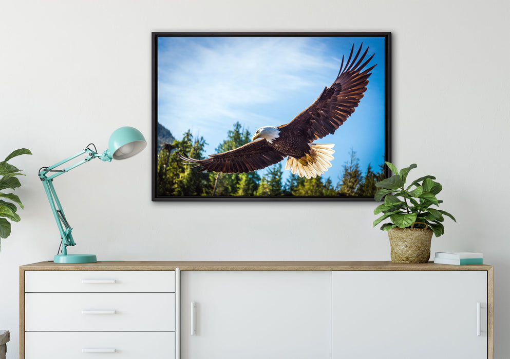 Adler auf Leinwandbild gerahmt verschiedene Größen im Wohnzimmer