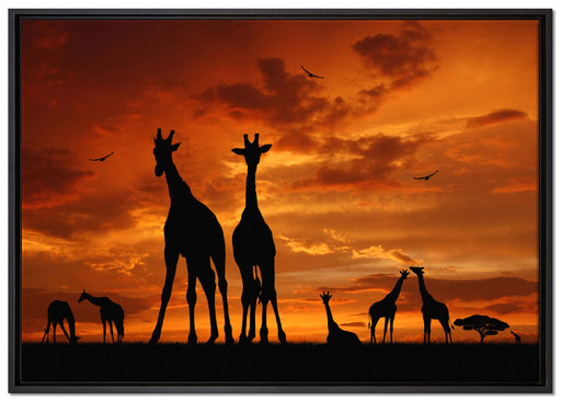 Afrika Giraffen im Sonnenuntergang auf Leinwandbild gerahmt Größe 100x70