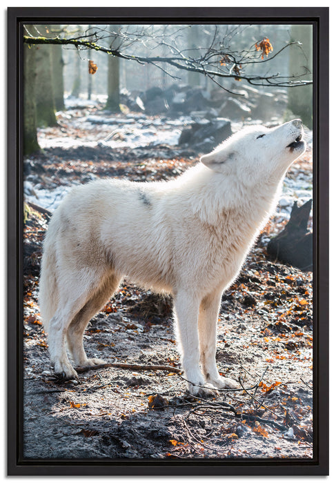 heulende Wölfe auf Leinwandbild gerahmt Größe 60x40