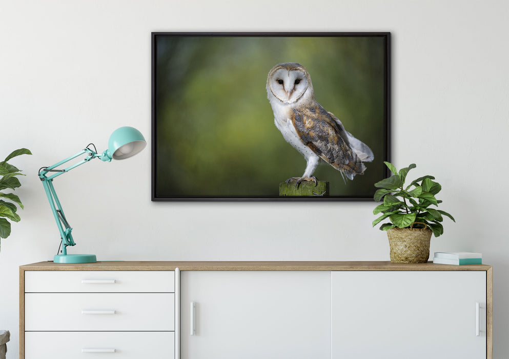 Eule auf Leinwandbild gerahmt verschiedene Größen im Wohnzimmer