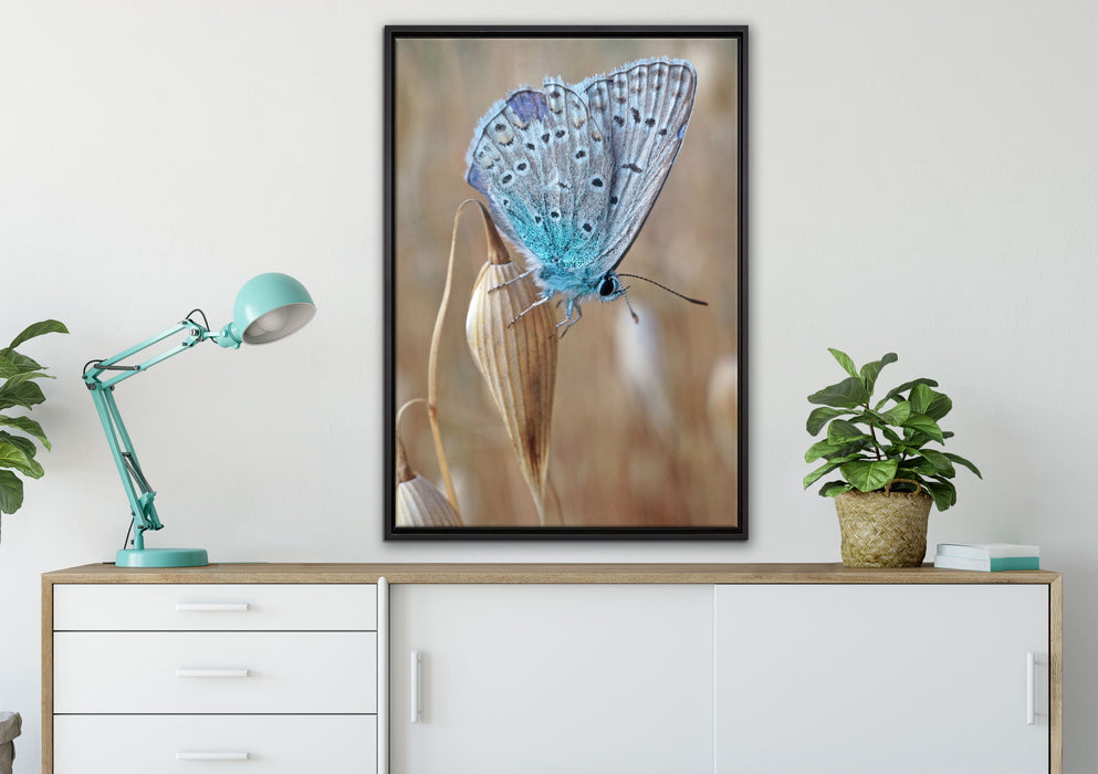 Schmetterling auf Blume Natur Tier auf Leinwandbild gerahmt verschiedene Größen im Wohnzimmer