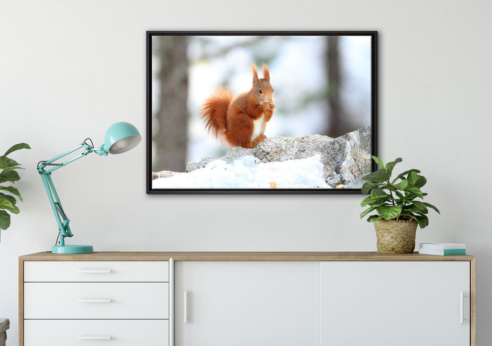 Eichhörnchen im Schnee auf Leinwandbild gerahmt verschiedene Größen im Wohnzimmer